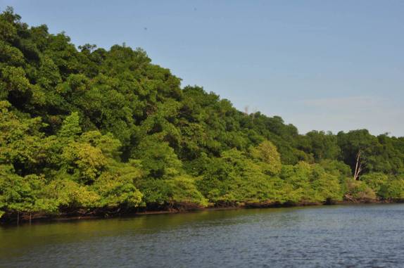 Percorrendo igarapés por entre o mangue do Delta do Parnaíba, na fronteira dos estados do Piauí e Maranhão